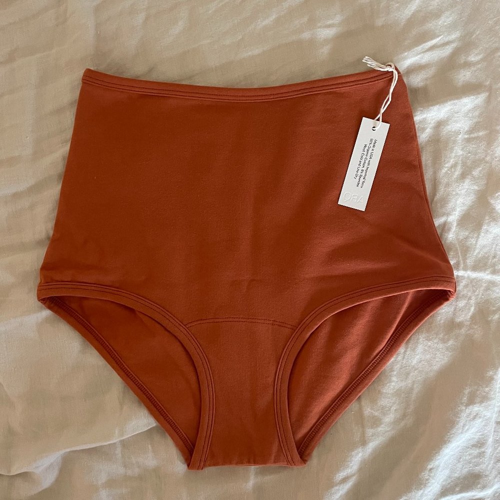 NWT ARQ rust undies S